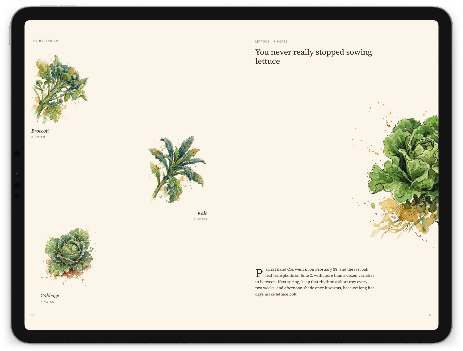 The herbarium on an iPad: broccoli, kale and cabbage illustrations with their note counts, facing a lettuce chapter titled You never really stopped sowing lettuce.