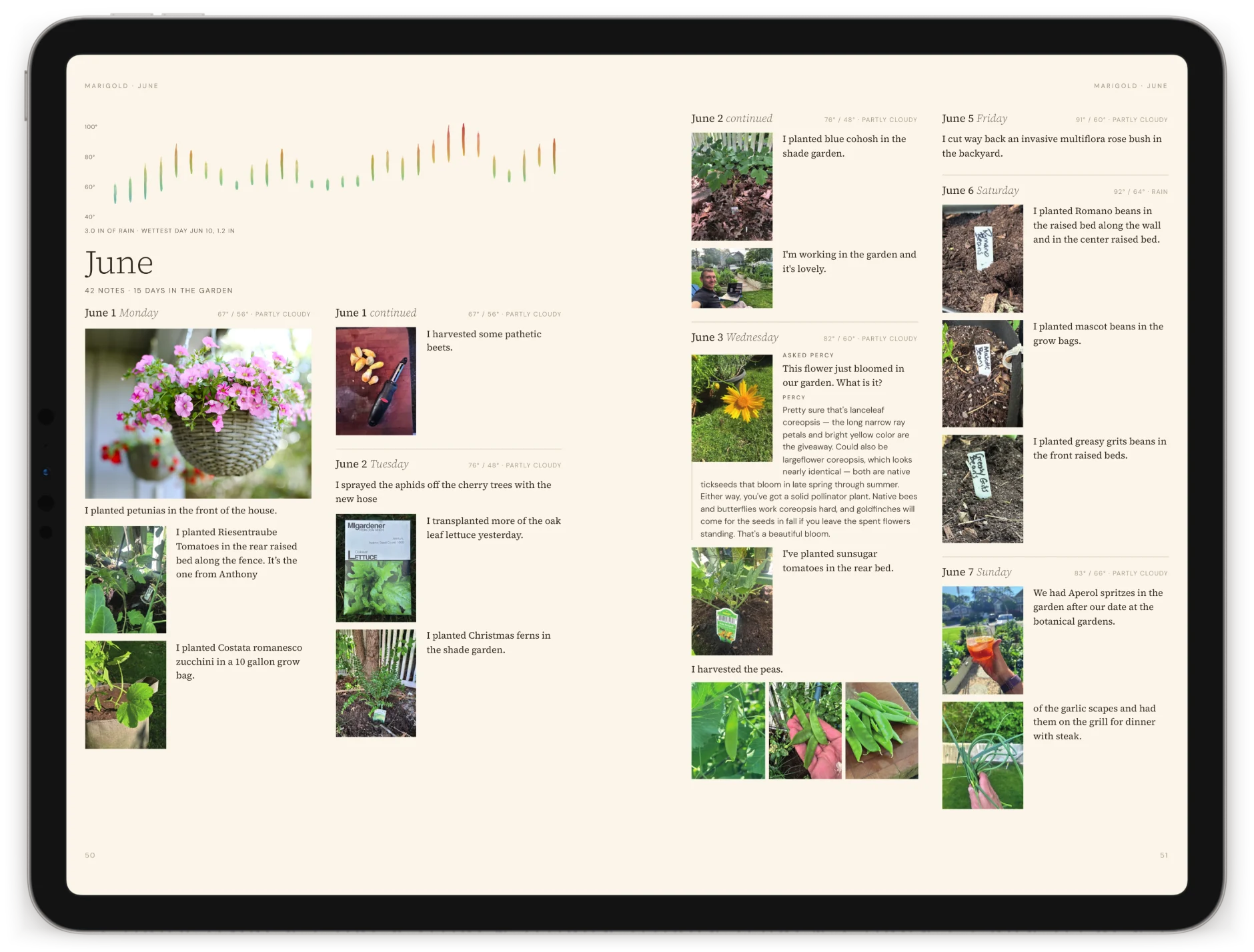 The digital edition open on an iPad at the start of June in the journal: the month’s temperature strip, then each day’s notes and photos, from hanging petunias to the pea harvest.