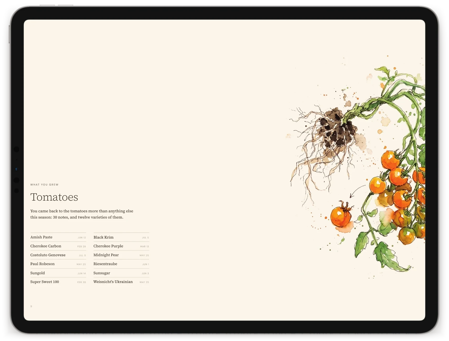 The tomatoes chapter on an iPad: twelve varieties and the dates they went in, beside an illustration of a cherry tomato vine.