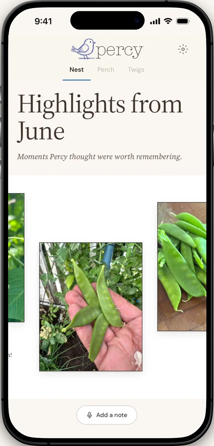 Percy's Nest showing Highlights from June: a hand holding fresh-picked snap peas.
