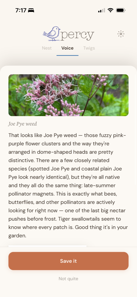 Percy identifying a photo of Joe Pye weed as a native late-summer pollinator magnet — 'they're all native and they all do the same thing: late-summer pollinator magnets… Good thing it's in your garden.'
